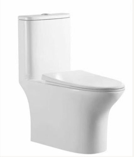 TORA VERON Washdown Toilet Bowl